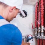 Why Pest Control & Disinfection Services Are Vital in Qatar.